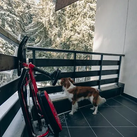 Апартамент Max Пампорово